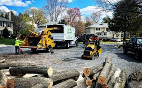 Mulching Services in Brackenridge, PA